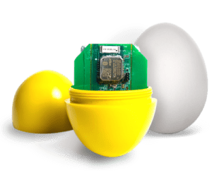 EggsHome1028-new